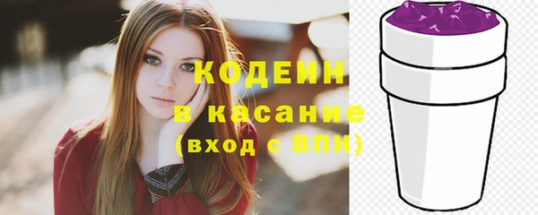 хмурый Сатка