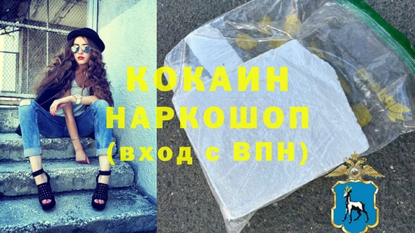 хмурый Сатка