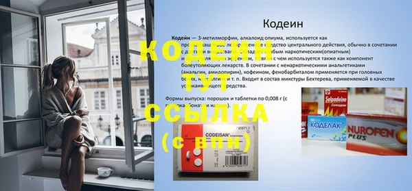 хмурый Сатка