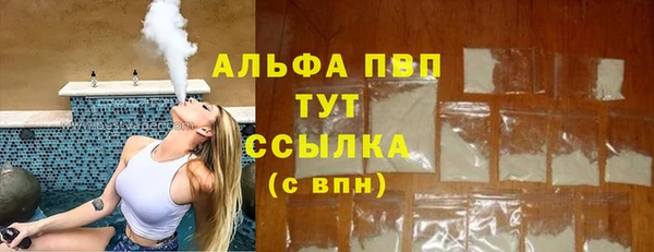хмурый Сатка